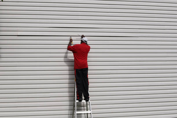 Best Brick Veneer Siding  in St Matthews, KY